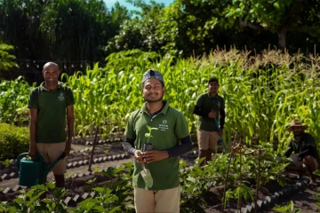 Seb's Farm je ekologická farma a restaurace na ostrově RAAYA by Atmosphere. Propojuje vlastní pěstování ovoce, zeleniny a bylinek s farm to table gastronomií a ukazuje hostům celý příběh jídla od zahrady až po talíř.